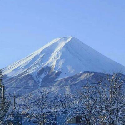 暗影求生街头激战游戏(暂未上线)v1.0.1 安卓版