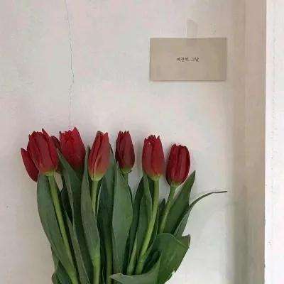 gg大玩家精简版app下载